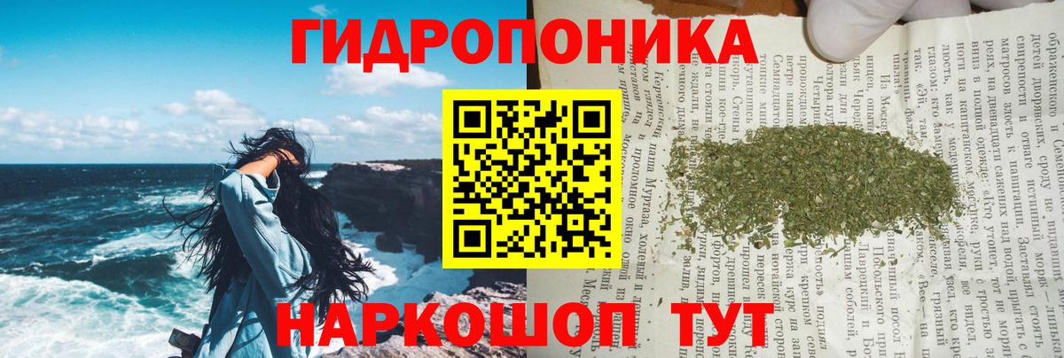 Каннабис планчик  Вход с VPN  Менделеевск  Бошки Шишки индика 